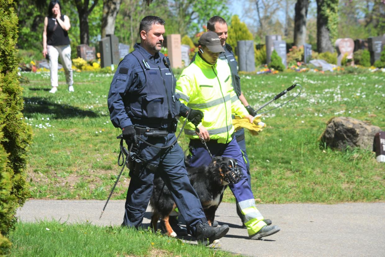 Hund beißt Frau auf Pforzheimer Friedhof Radio Regenbogen