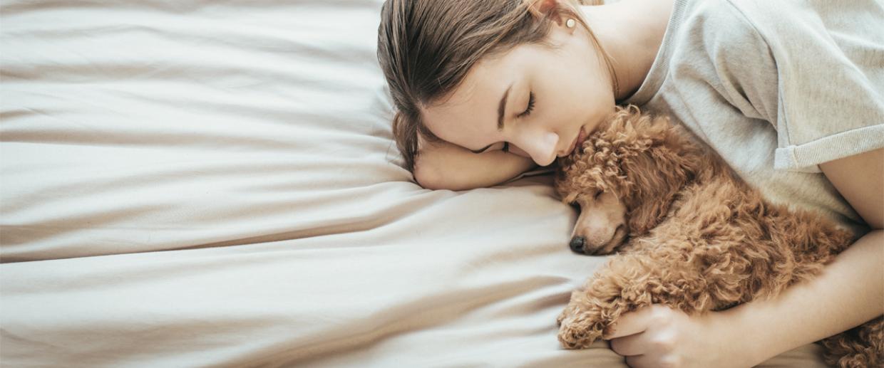 Darum Schlafen Frauen Besser Mit Hunden Im Bett Radio Regenbogen