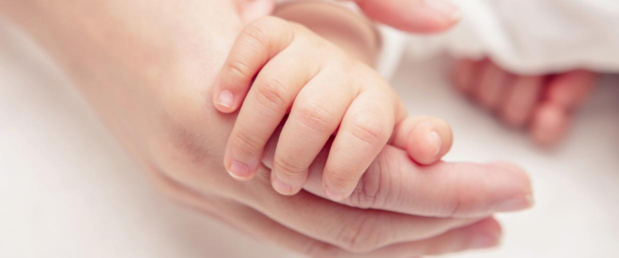 Organspende Mutter Bringt Hirntotes Baby Zur Welt Radio Regenbogen