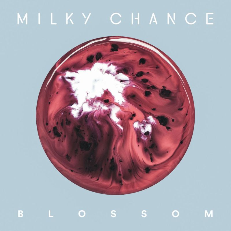 MilkyChanceBlossom.jpg MilkyChanceBlossom.jpg