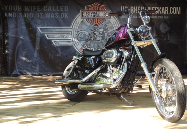 SPORTSTER_UMBAU.jpg SPORTSTER_UMBAU.jpg
