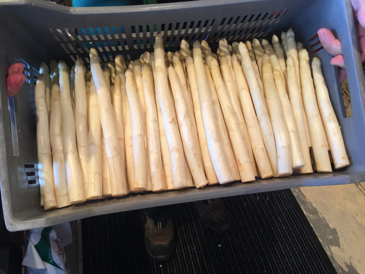 Spargelernte 2016 | Radio Regenbogen