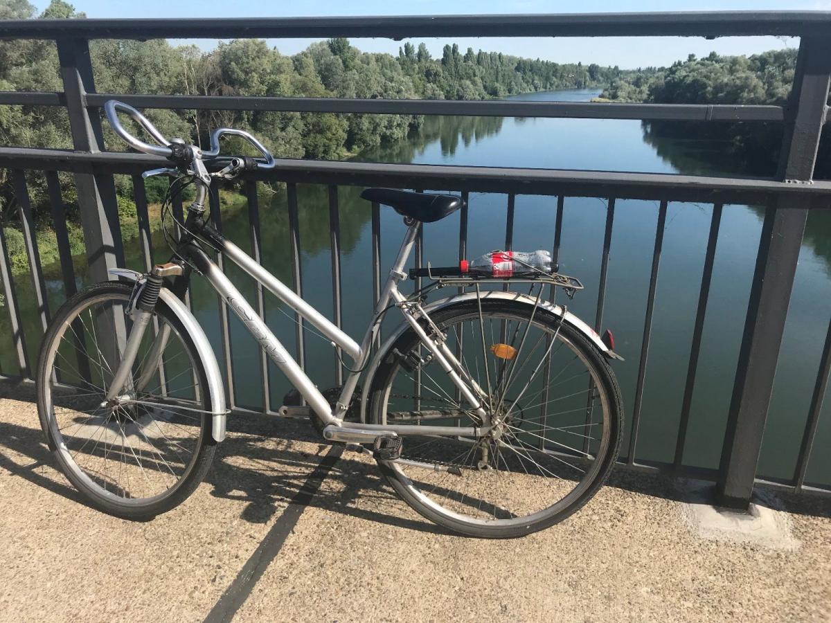 Neuenburg Toter Noch Nicht Identifiziert Radio Regenbogen