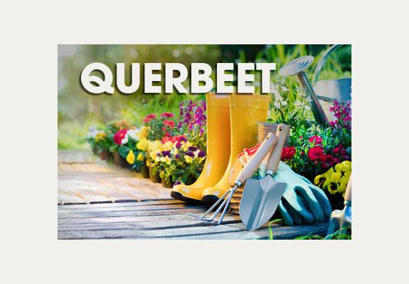Querbeet Videos Querbeet Videos