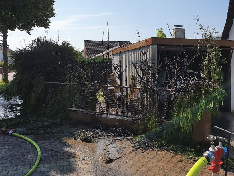 Brand_Hecke.jpg Brand_Hecke.jpg
